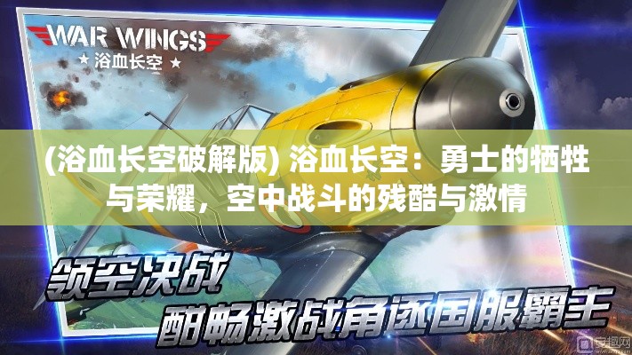 (浴血长空破解版) 浴血长空：勇士的牺牲与荣耀，空中战斗的残酷与激情